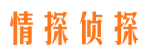 平远外遇取证